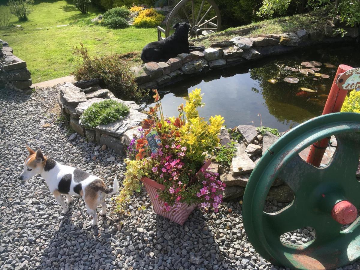 Stoke House Bed And Breakfast Stoke Rivers Exteriör bild